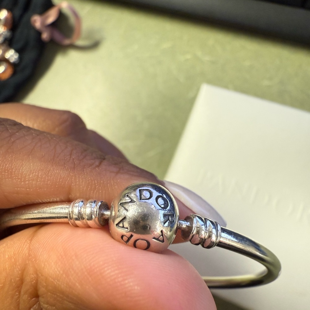 Pandora Moments Silver Bracelet - Picture 5 of 5